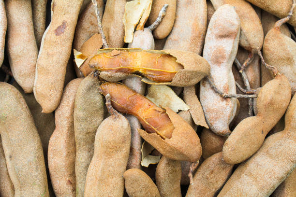 istock Tamarind fruits close-up view 2114360270