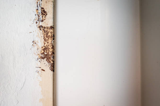 istock rough old concrete wall texture closeup during home renovation 2114360860