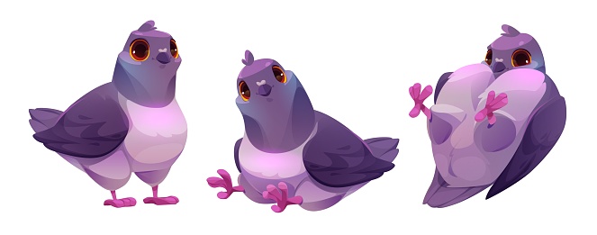 Cute pigeon cartoon character with smiling face emotion in different poses. Vector illustration set of funny wild dove standing, sitting and laying on back. Collection of bird mascot with blue wings.