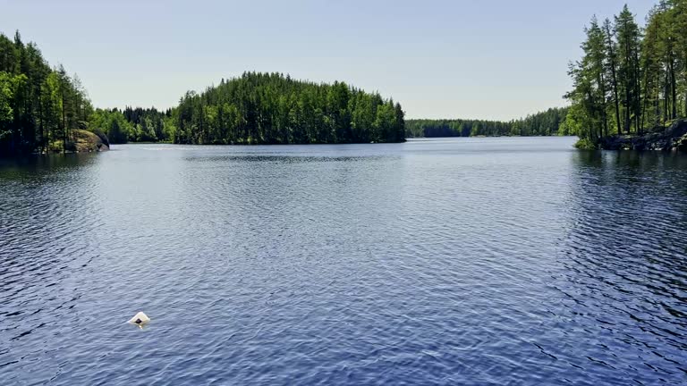 Peaceful lakeside in Finland during early summer with a lot of trees around the water’s edge