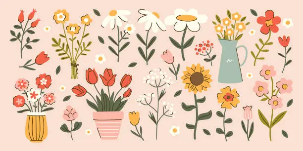 Vector illustration of Set of hand drawn cottagecore flowers. Tulip, sunflower, daisy, chamomile, flowerpots decor. Spring and summer botanical illustrations