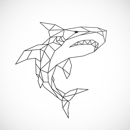 Geometric shark illustration. Black lines.