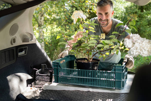 istock Happy Man Loading Potted Flowers into Car Trunk in Summer 2114433802