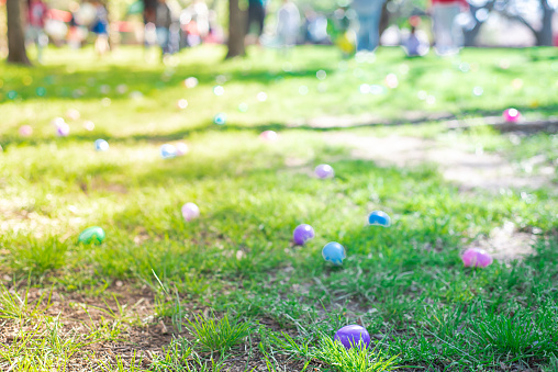 Abundant of colorful Easter eggs on green grass field with blurry diverse people kids parents waiting behind vinyl tape barricade for eggs hunting collecting tradition at local Church, Dallas, TX. USA