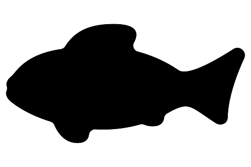 silhouette of a fish April Fools vector illustration