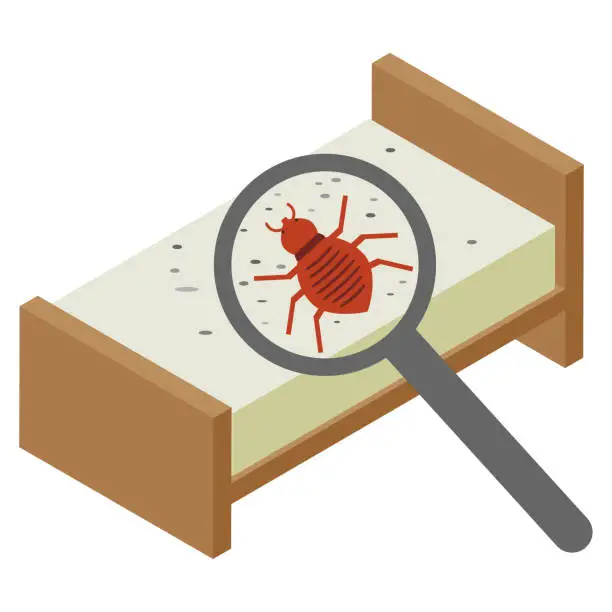 Vector illustration of Isometric image material of bed bugs found on the bed