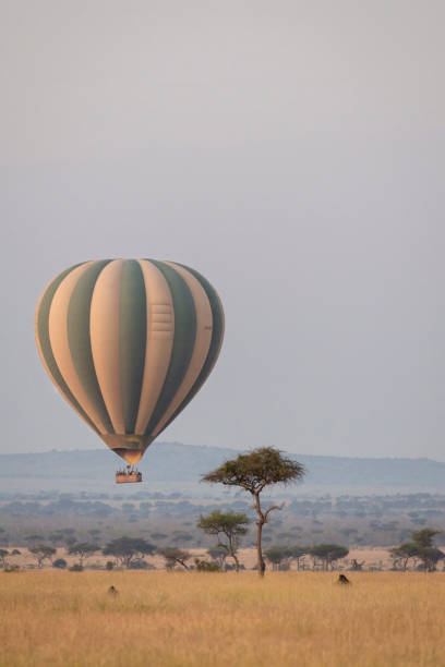 istock Hot air ballooning at sunrise 2114480680