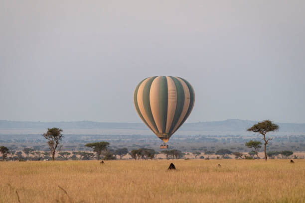istock Hot air ballooning at sunrise 2114481192