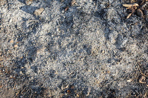 There are ashes from burned branches and leaves in the garden soil. Natural fertilizer.