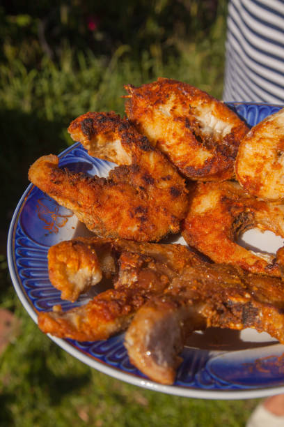 istock Crispy spicy fried fish steaks on a plate. 2114511872