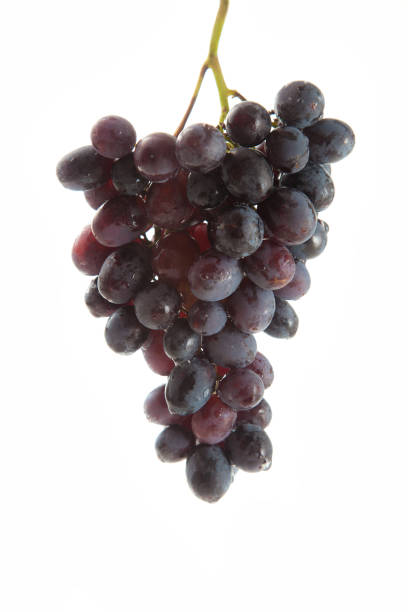 istock Bunch of organic black grapes isolated on white background 2114547646