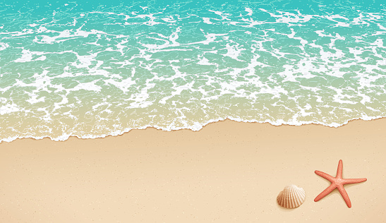 Summer beach background with seashell and starfish. Soft wave on empty sandy beach. Background with copy space.