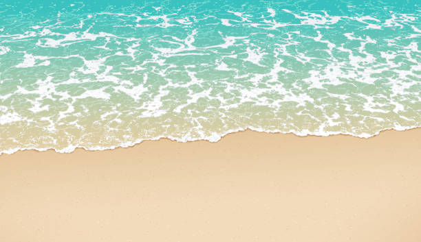 Empty Sandy Beach Background Summer beach background. Soft wave on empty sandy beach. Background with copy space. beach day stock illustrations