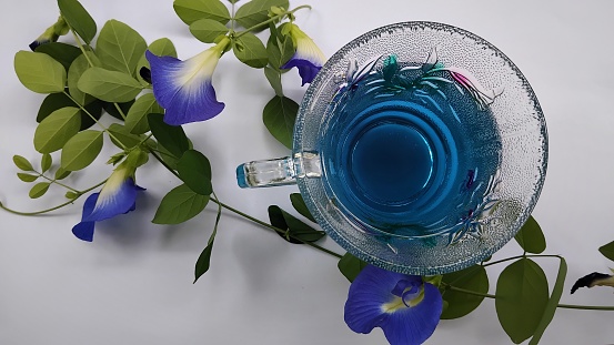 A glass of butterfly pea flower tea. Blue colored tea