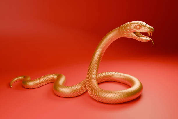 istock 2025 Year of the Snake 3 2114582673