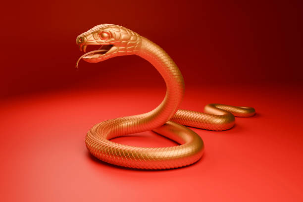 istock 2025 Year of the Snake 4 2114582676