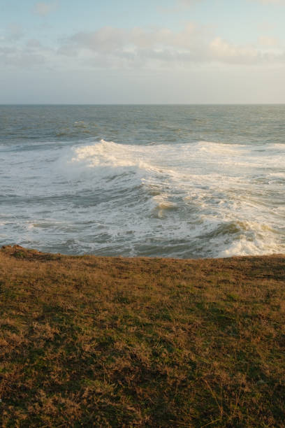 istock Grassy shore with serene ocean waves in the background 2114603241