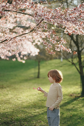 a boy blowing bubbles in the park during sakura blooming