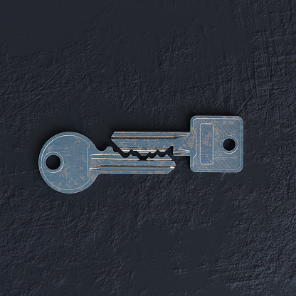 Two keys whose teeth complement each other. Although the diversity of the two keys could not be more pronounced (as they unlock opposite combinations), the relationship established by their inequality is more apparent than their incompatibility. They open different locks and yet the contrast born of their opposition makes the two keys more similar than they are unequal.