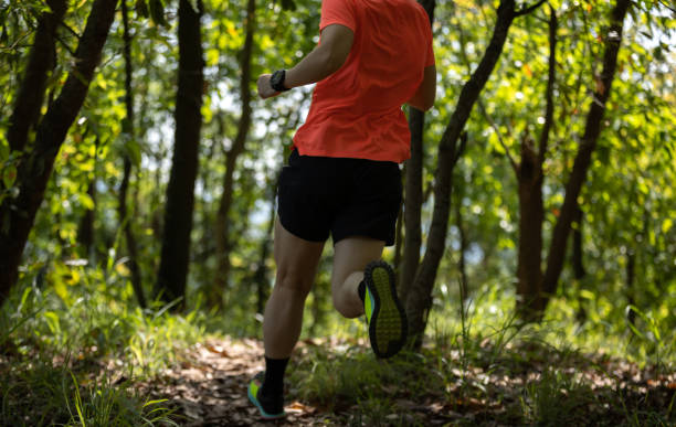 istock Woman trail runner running in summer forest trail 2114728106