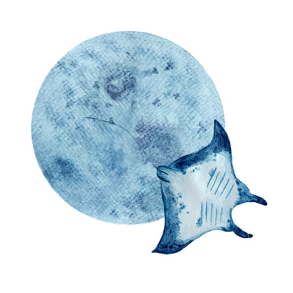 Watercolor high quality hand-drawn manta ray and a moon composition isolated on white. High quality monochromatic illustration for notebooks, posters, tote bags, cards, eco, room decor and design.