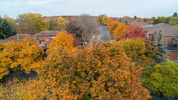 istock A Suburban Street in the fall 2114790191
