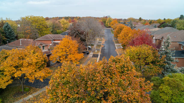 istock A Suburban Street in the fall 2114790902