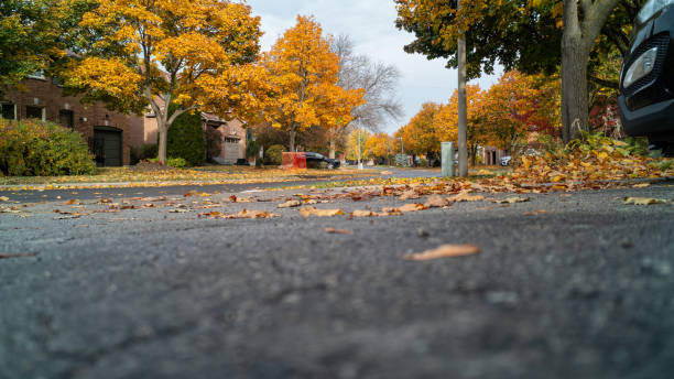 istock A Suburban Street in the fall 2114791235