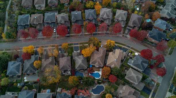 istock A Suburban Street in the fall 2114794930