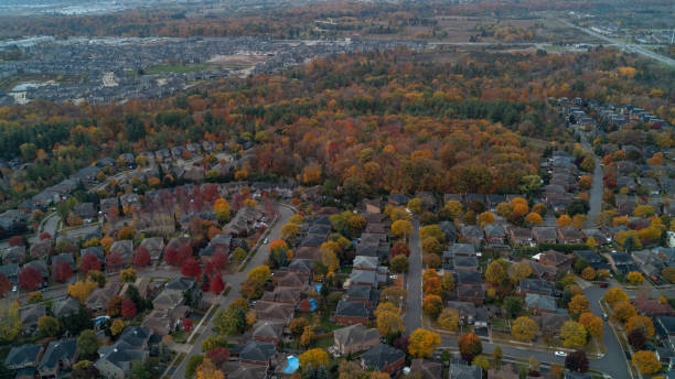 istock A Suburban Street in the fall 2114795990