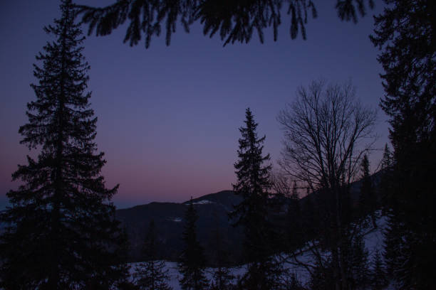 ​An endless snow-covered field under a delicate pink sky during the first moments of a winter dawn. Dark silhouettes of trees on the horizon and soft cloud tints create an uplifting atmosphere of peace, capturing the true magic and quiet beauty of nature.