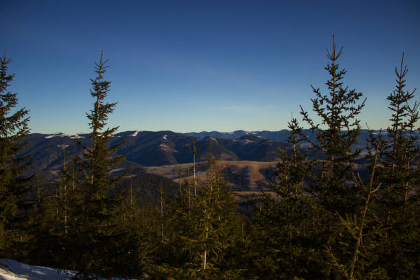 Winter landscape