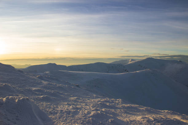 Beautiful winter landscape with copyspace and a light blue background