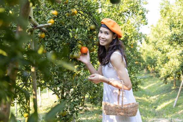 istock Woman in Orange Beret Posing in Orange Orchard 2114846157