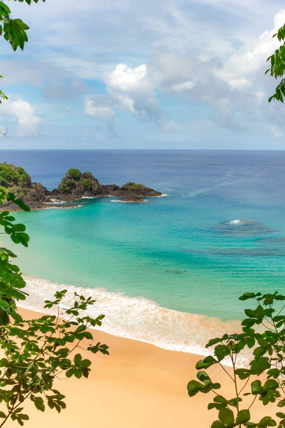 istock Fernando de Noronha, Brazil 2114848307