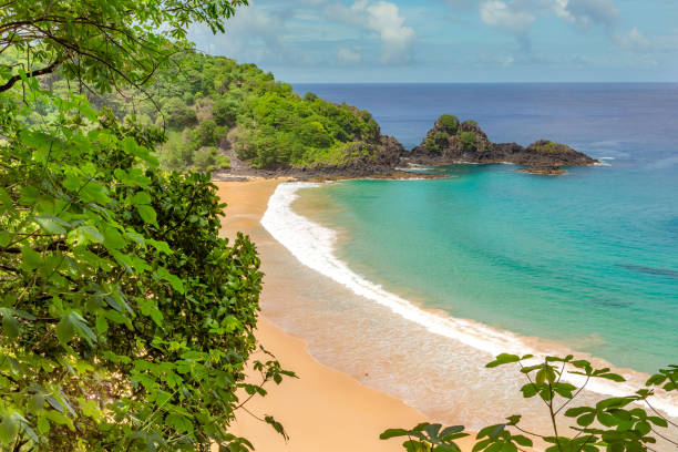 istock Fernando de Noronha, Brazil 2114853082