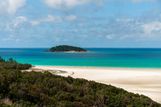 istock A beautiful beach with a blue ocean and a green shoreline 2114919699