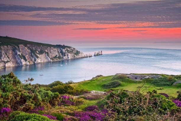 Late Summer Dusk over the Needles