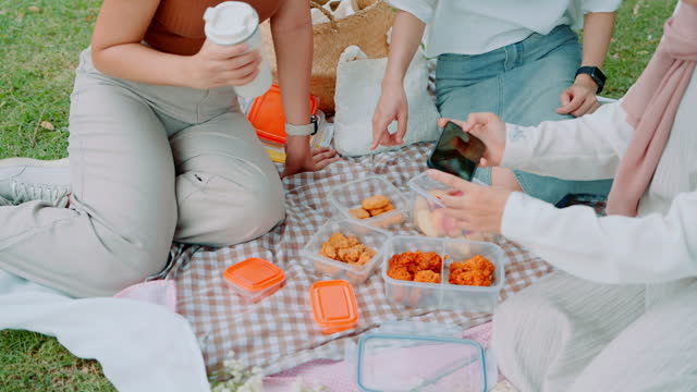Picnic Gathering with Friends in the Park