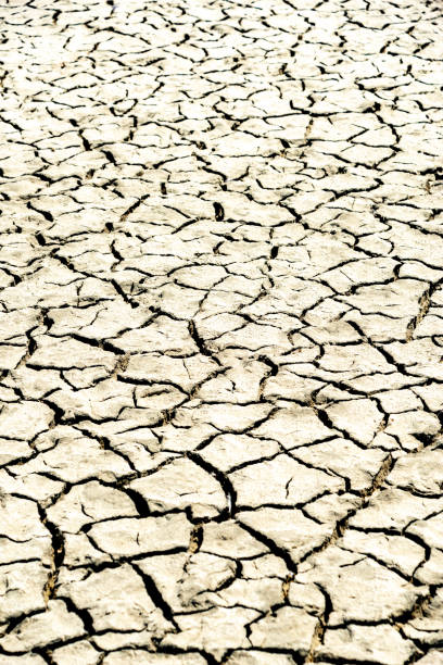 Cracked dry earth during a drought, showing the effects of extreme heat and water shortage in an arid region. Climate change and environmental degradation concept.