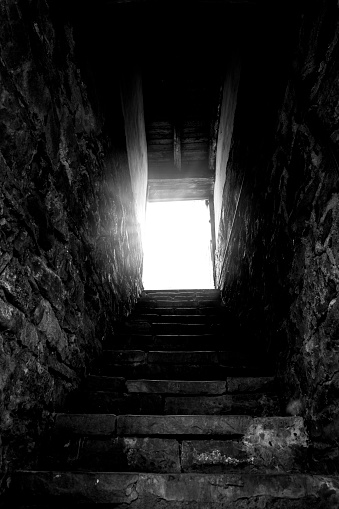 Exit from the dark home pantry, up the stairs to the room in which there is light. The cellar is located on the lower floor of the house.