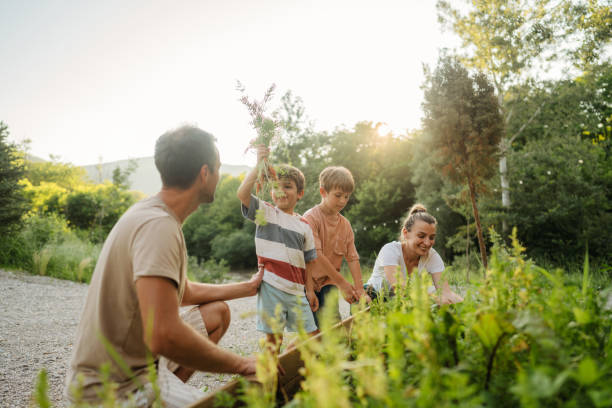 istock Family picking vegetables from their garden bed 2114967318