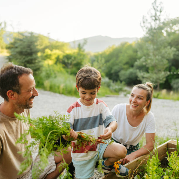 istock Family picking vegetables from their garden bed 2114967320