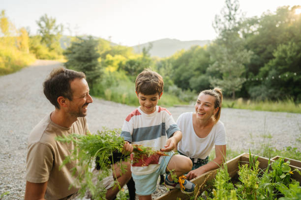istock Family picking vegetables from their garden bed 2114967880
