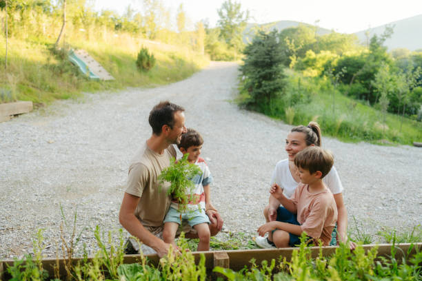 istock Family picking vegetables from their garden bed 2114969470