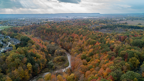 Colorful Autumn forest and creek from an aerial view beside a suburb community