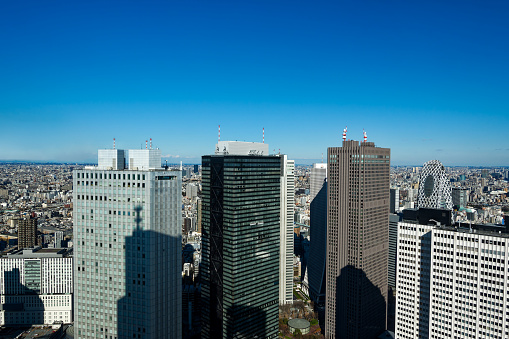 Aerial view of Skyline of Japanese City of Tokyo seen from tower of city hall with blue sky background. Photo taken January 27th, 2024, Tokyo, Japan.