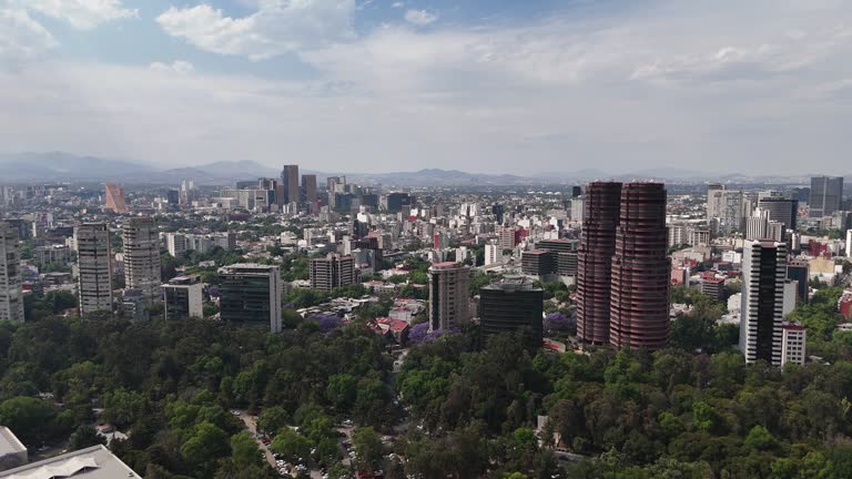 Polanco neighborhood seen from Chapultepec Park, Mexico City. Drone view