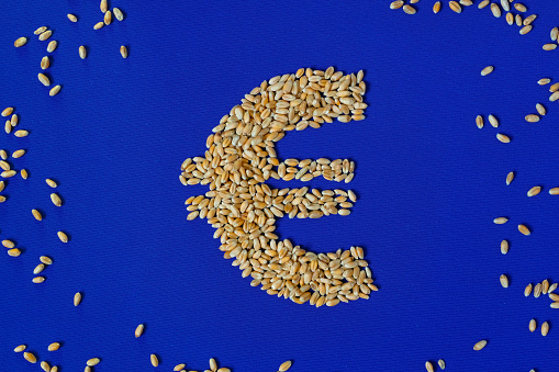 Euro symbol. Wheat. Grain. Blue European Union Flag background. Agriculture trade policies. Food independence.