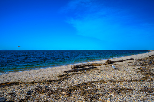 View on the Long Island Sound in early spring
